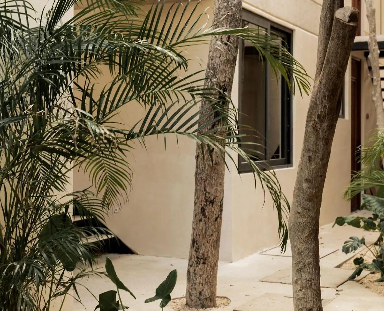 Arba Ii, Tulum Aldea Zama, Condos With Private Plunge Pool 0*,