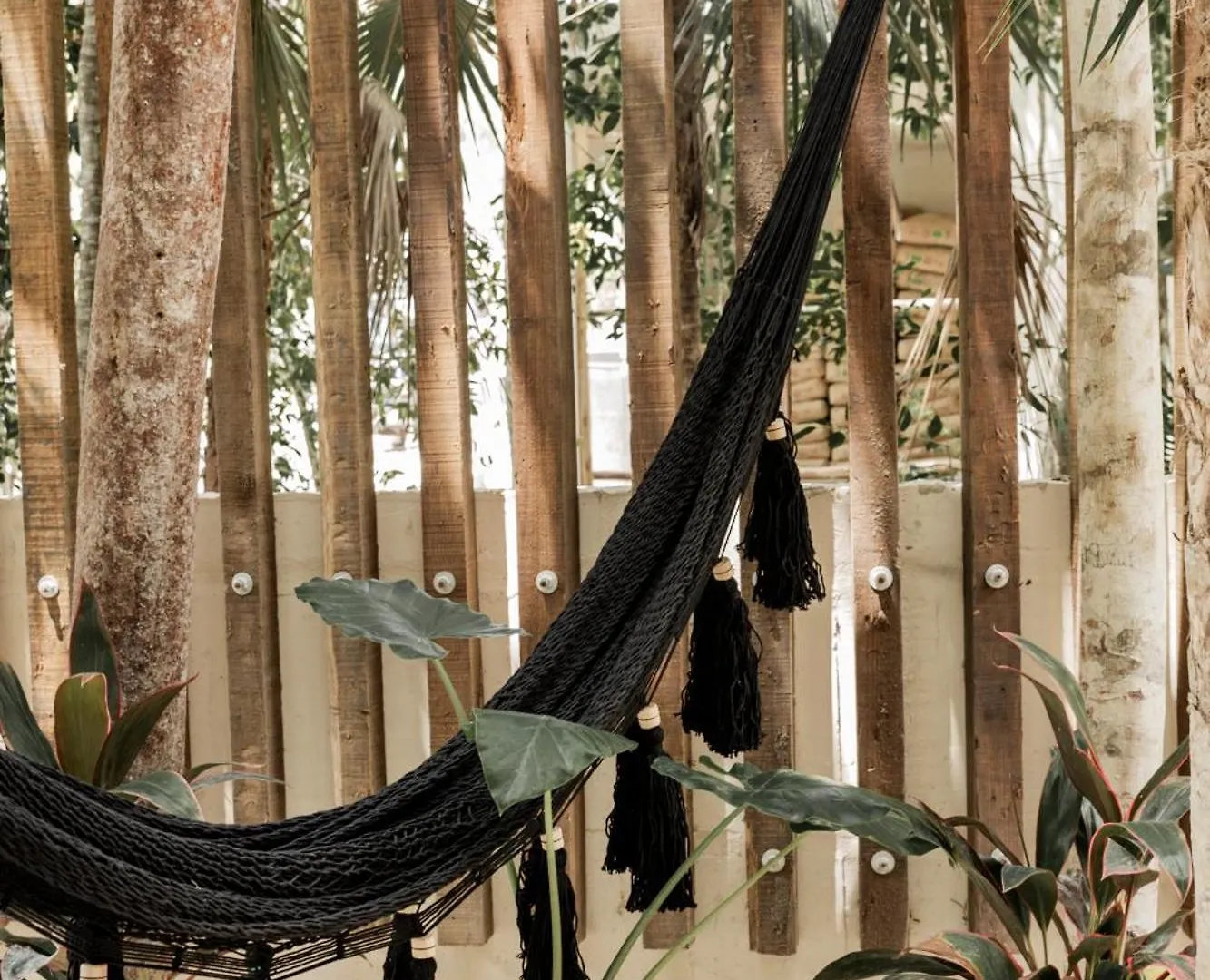 Arba Ii, Tulum Aldea Zama, Condos With Private Plunge Pool